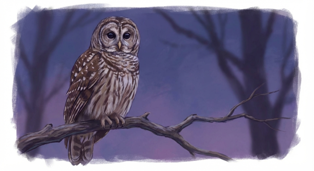 Strix the Stateful Agent